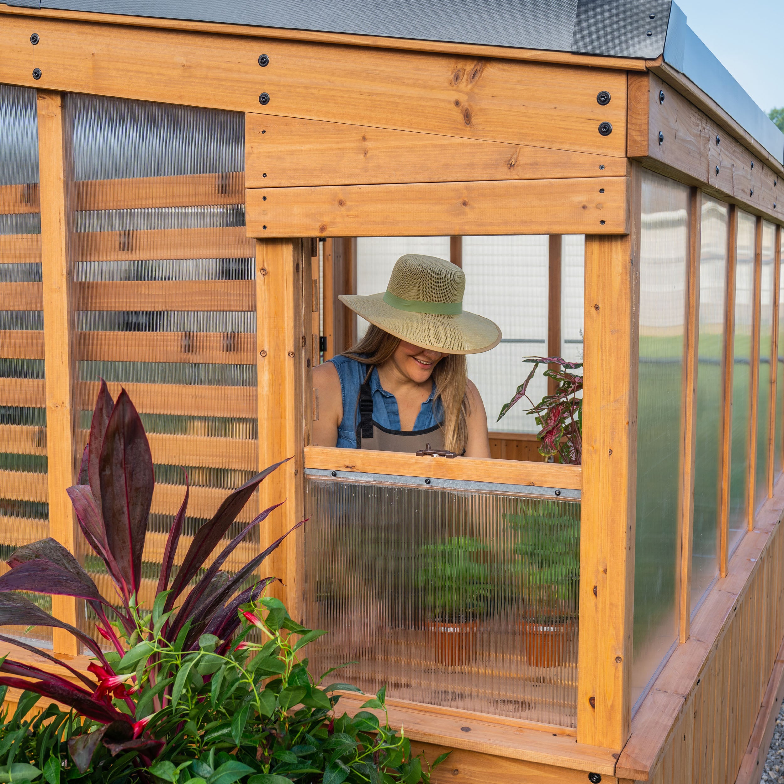 3.7m X 2.1m Zalie Greenhouse  Window ventilation 