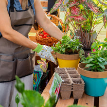 Load image into Gallery viewer, potting plants
