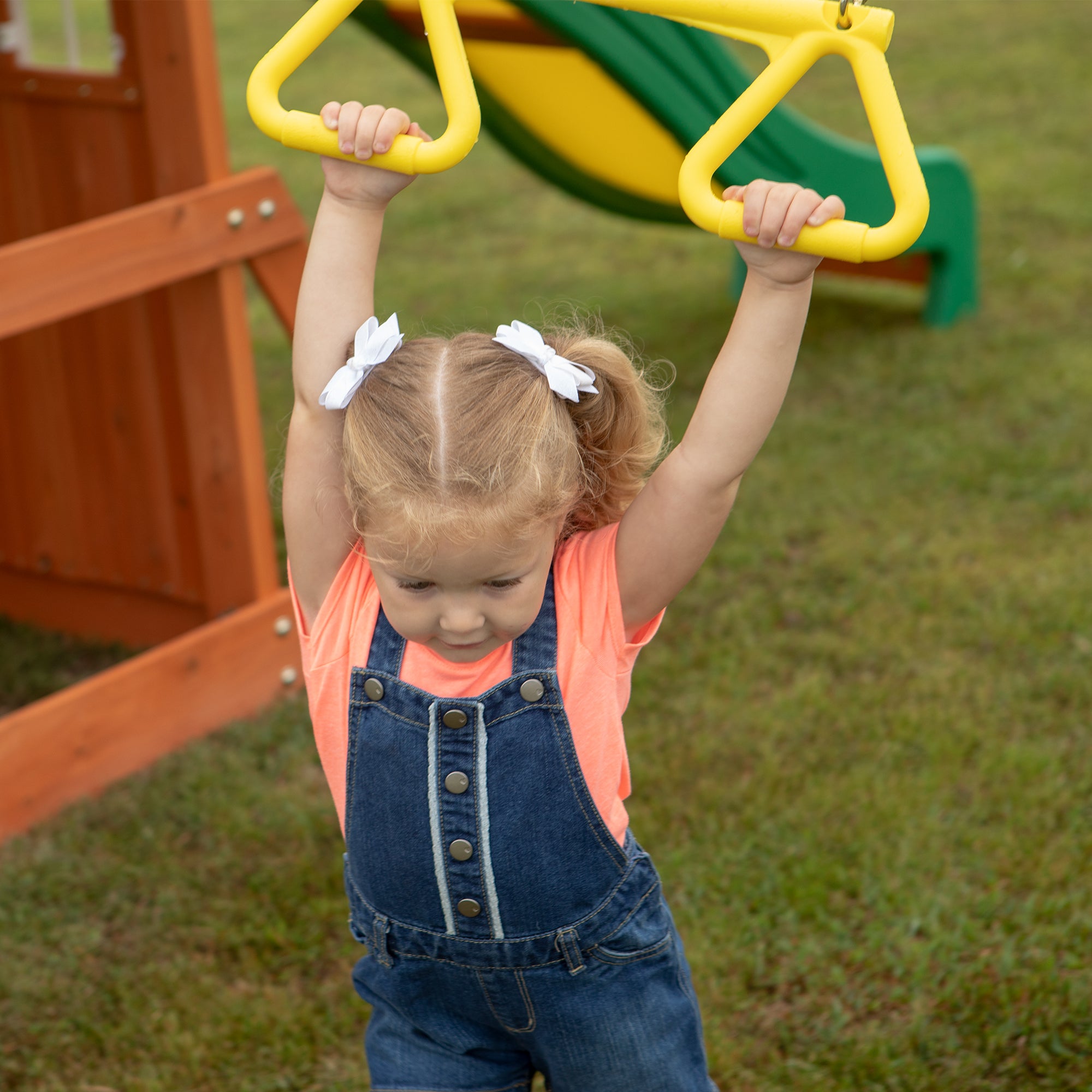 Oakmont Swing Set Trapeze